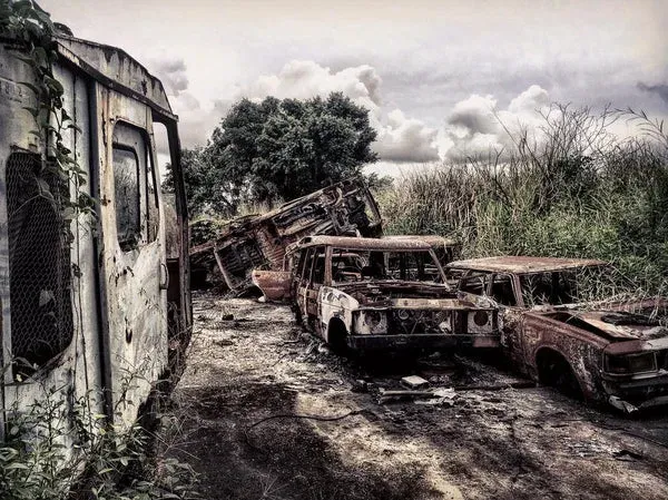 Véhicules abandonnés dans la cour de la distillerie Caroni, repris par la nature