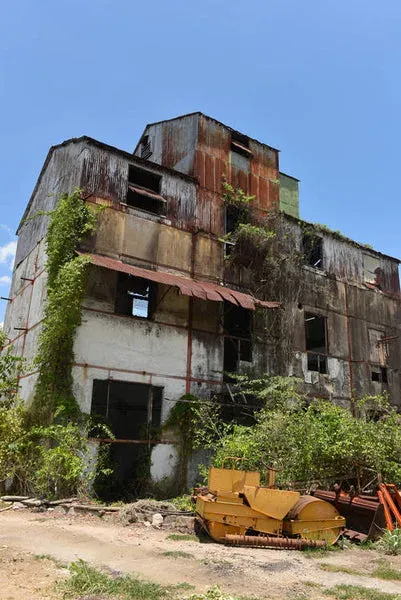 Des fûts entreposés dans l'entrepôt abandonné de la distillerie Caroni