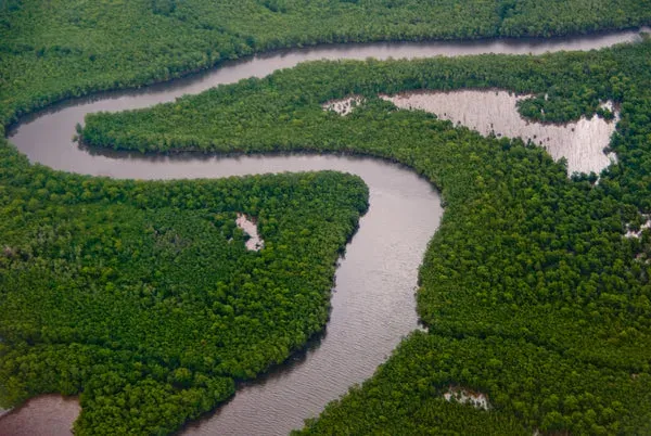 La plaine et le marais de Caroni à Trinité, paysage d'eau et de végétation basse